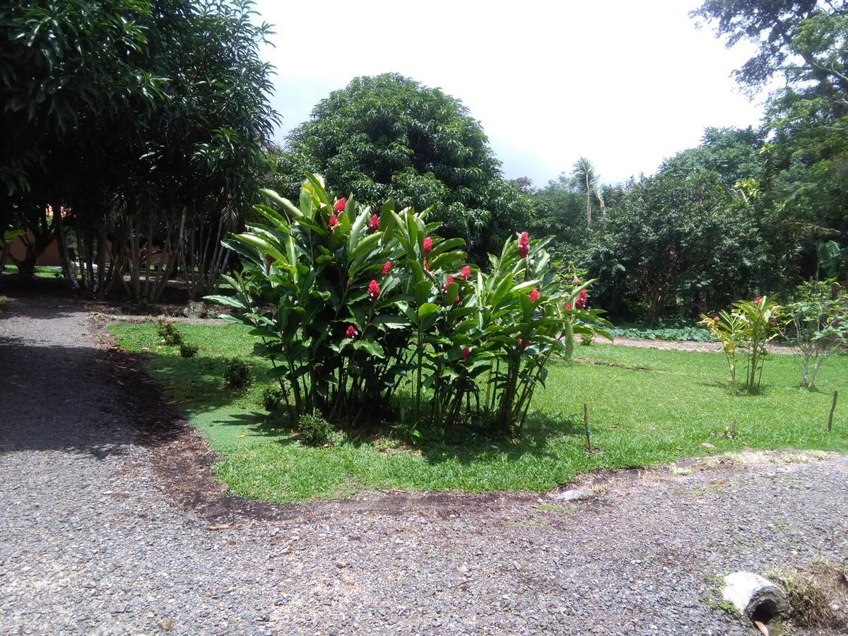 Paraiso Volcano Lodge Guayabo  Exterior photo